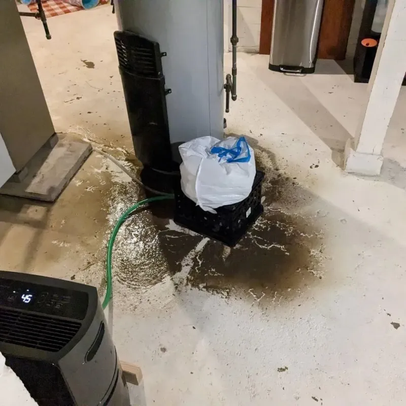 Sewage Backup Cleanup Service in Winter Gardens, CA